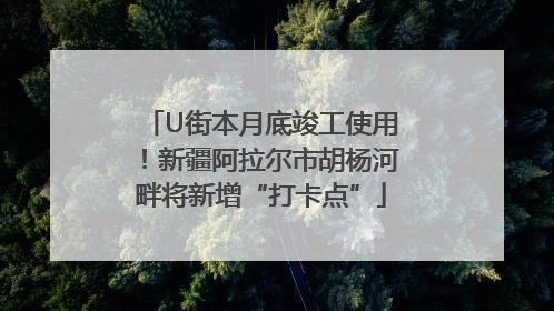 U街本月底竣工使用！新疆阿拉尔市胡杨河畔将新增“打卡点”